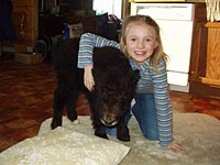 AnnieYak